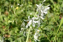 Killikus&reg; Fotographie